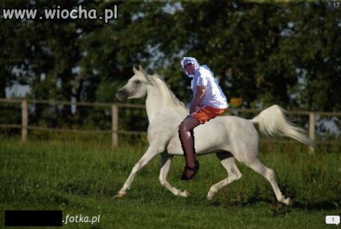 Książe 