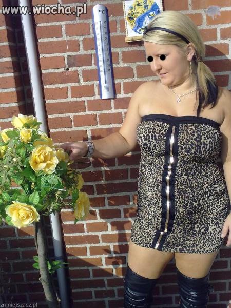 Jaka dama