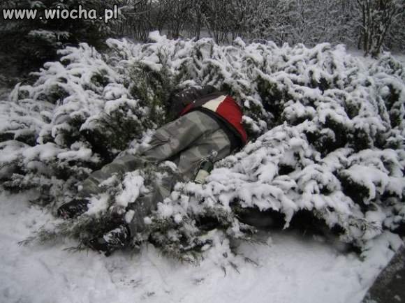 Nowy rok 2011