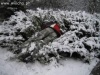 Nowy rok 2011