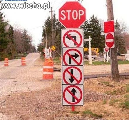 Dobry kierowca