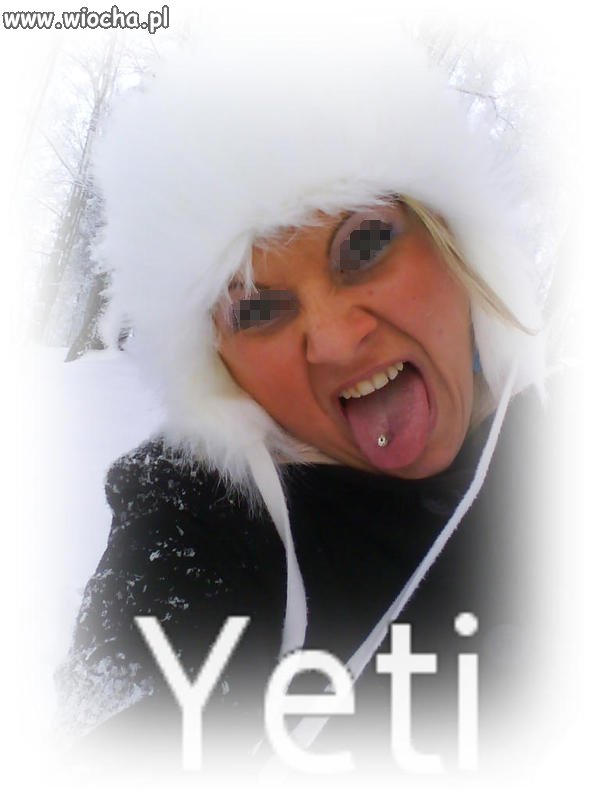 Yeti