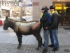 Homo Zoofile