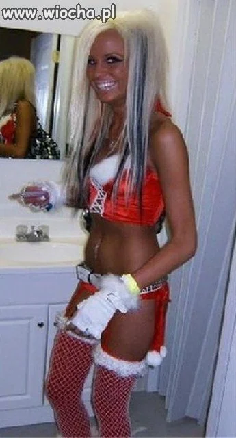Santa Barbie