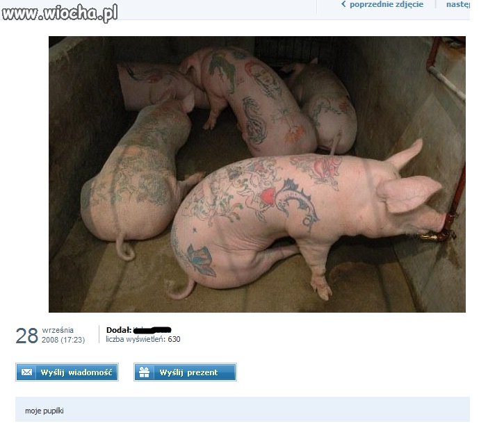 Moje Pupilki