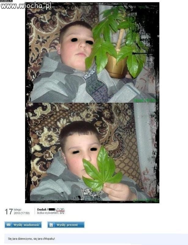 Się jara, kwiatki mamusi.