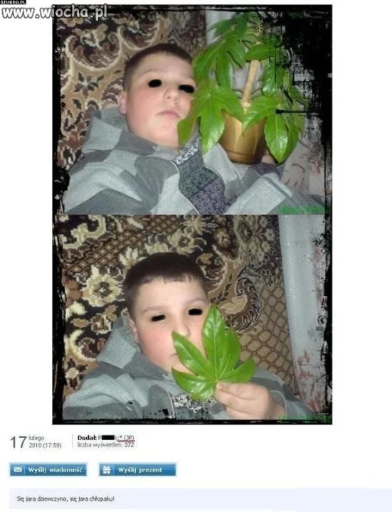 Się jara, kwiatki mamusi.