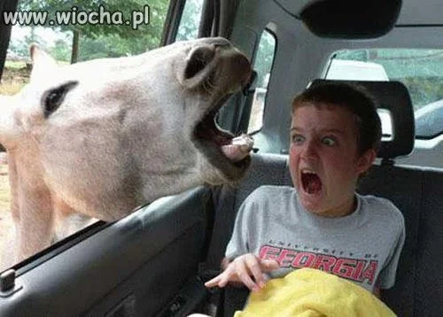 Powaga...