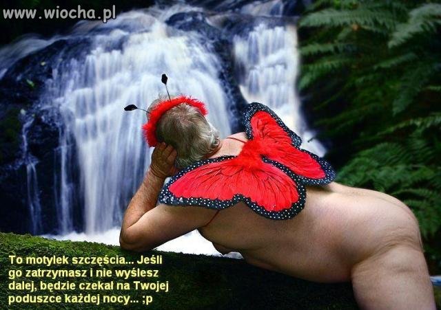 Ach jak przyjemnie kołysać się wśród fal...