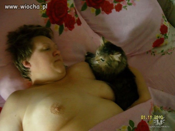 Śpimy smacznie z kotkiem  