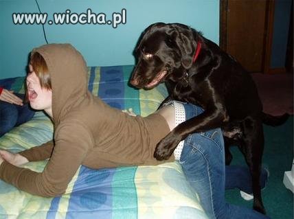 Ohh .. Ahh... z piesiem .