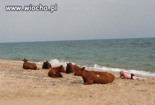 Plażowiczki?