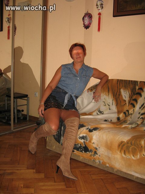 Tygrysek