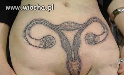 Pokaż Kotku...