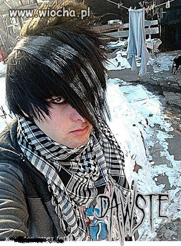 Dawste