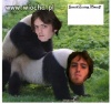 Mistrz photoshopa i zoofil