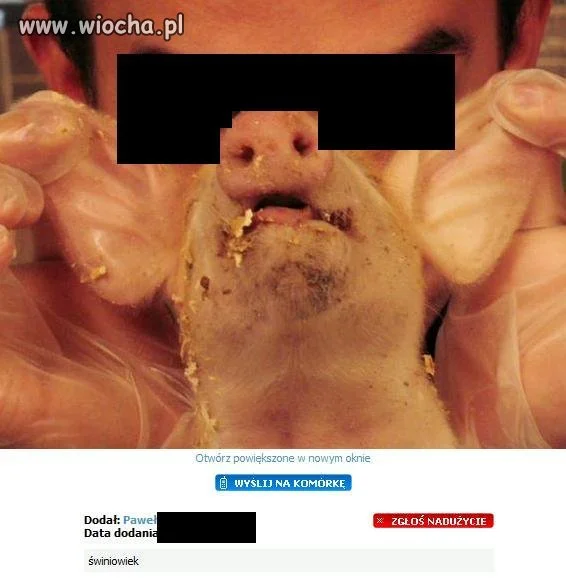 Świniowiek...