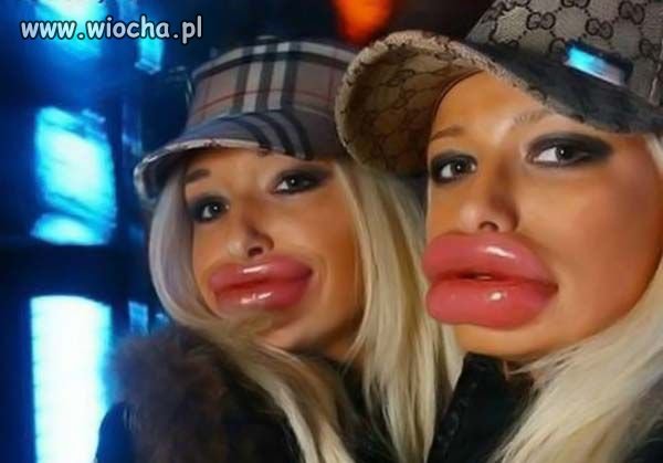Plastik a' la Kaczka 