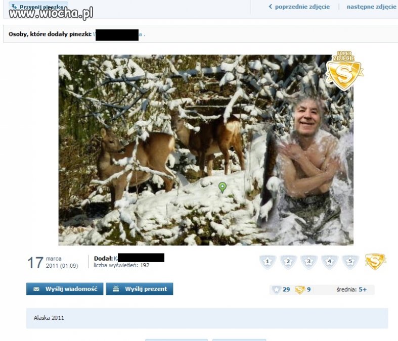 Pozdrowienia z Alaski !