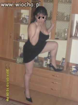 Kocica