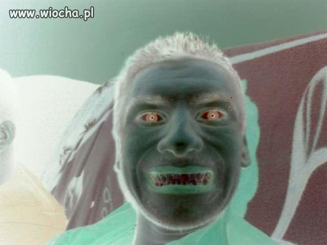 Bój się lwa,