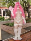 I'm a Barbi cat