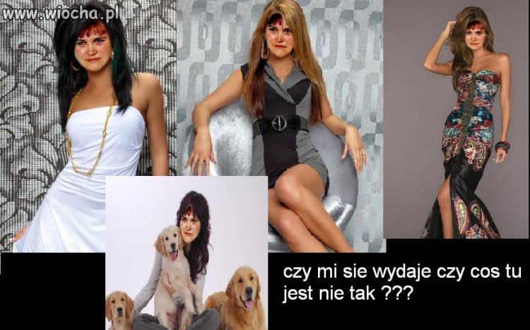 Mistrz photoshopa