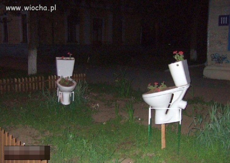 Nowoczesne donice.