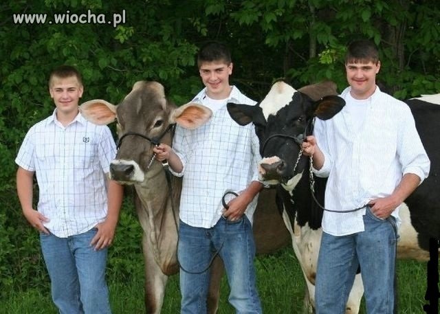 Z dziewczynami