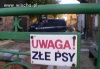 Czasami Wszystko