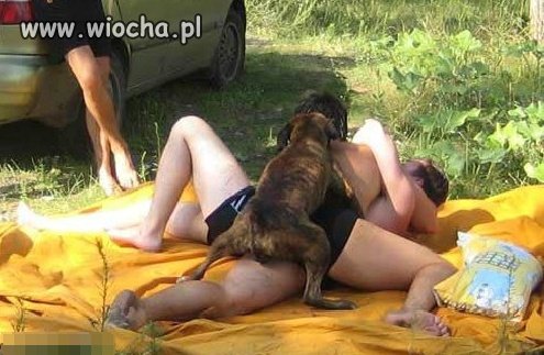 No, bo przecież każdy..