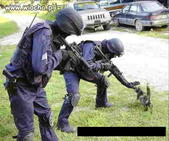 Policja...