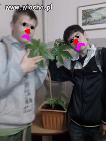 Sie jara dziewczyno, sie jara chłopaku