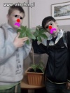 Sie jara dziewczyno, sie jara chłopaku