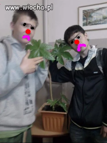 Sie jara dziewczyno, sie jara chłopaku
