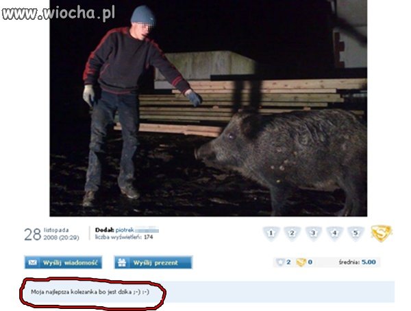 Dzika fotka