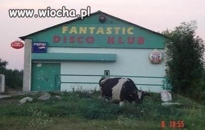 FANTASTIC zaprasza na dicho zarówno..