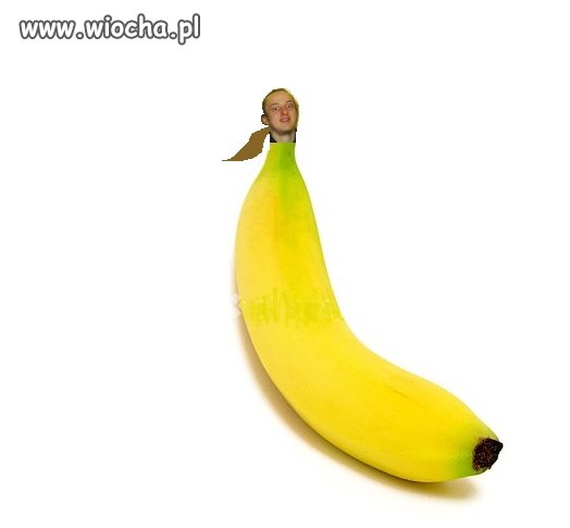 Jaki but taki fiut.