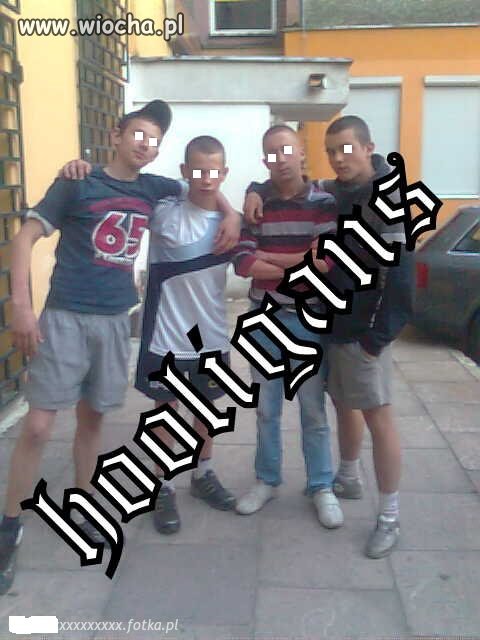 Hooligans