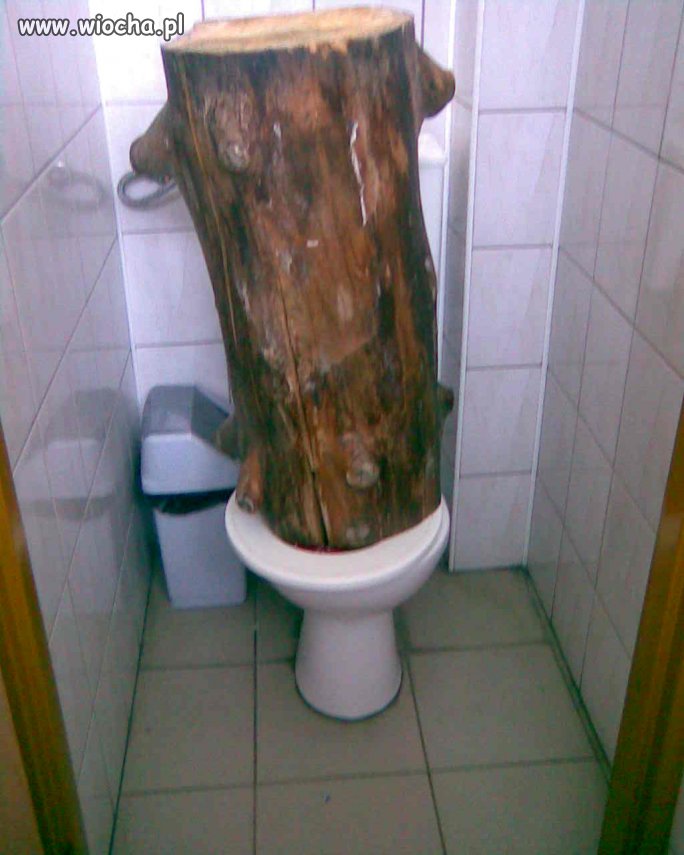 Szkolna toaleta...