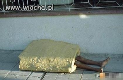 Pan Gąbka..