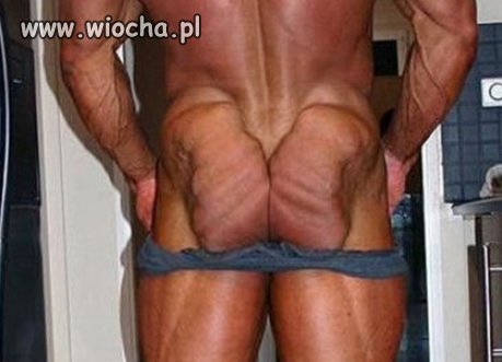 Nowy dziadek do orzechów 