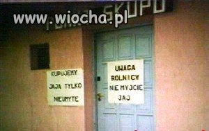 Niezłe jaja...