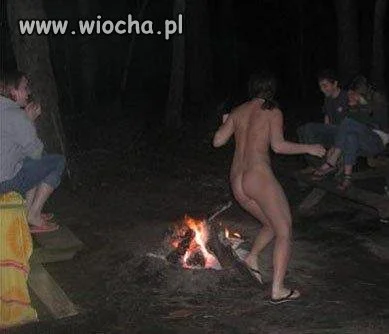 Karmienie komarów