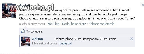 Wspaniała oferta pracy