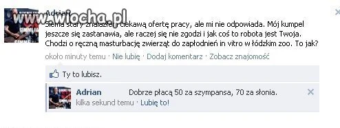 Wspaniała oferta pracy