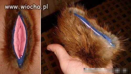 Koleżanek he