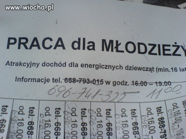 Praca dla