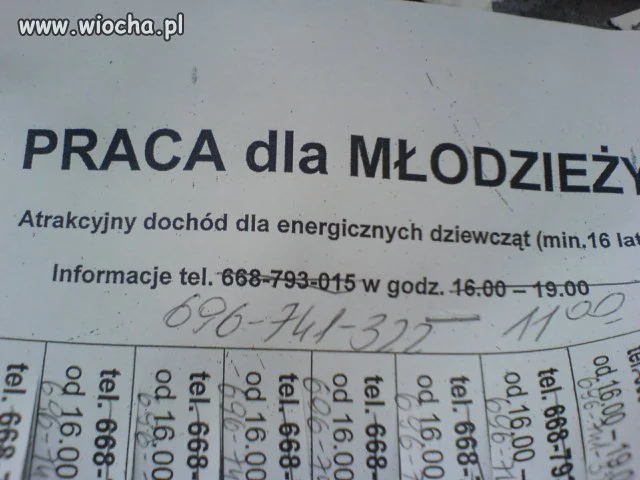 Praca dla