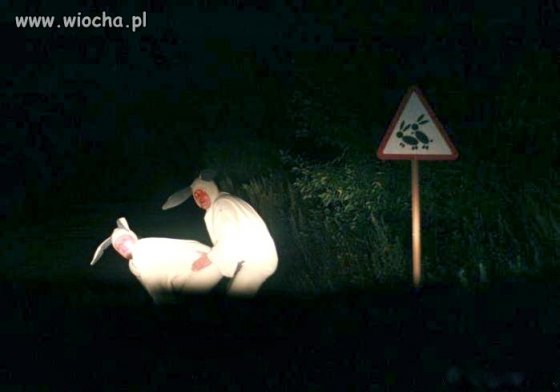 Kochanie zwolnij.